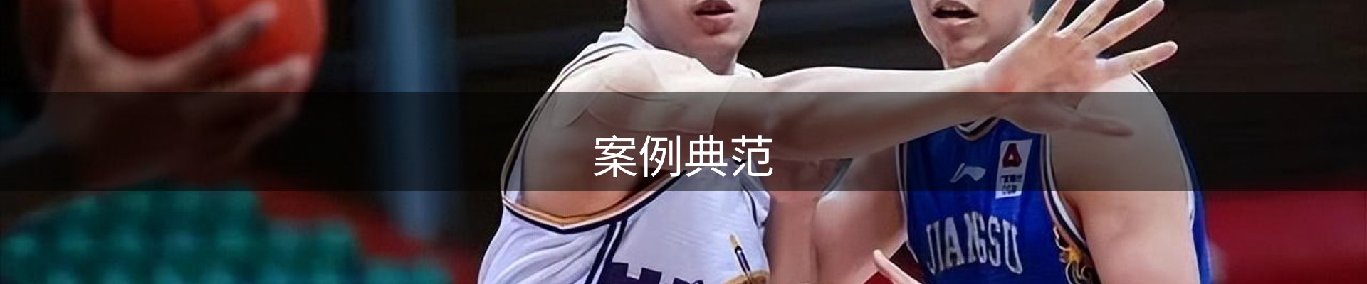 案例典范